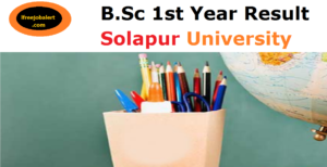 Solapur University BSC 1st Year Result