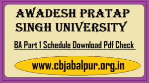 APSU BA First Year Time Table