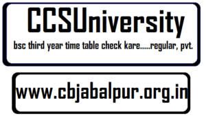 CCSU BSC 3rd Year Time Table Pdf