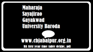 MSU Baroda ba first year time table