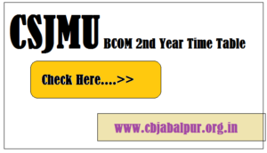 ccsu bcom first year time table pdf