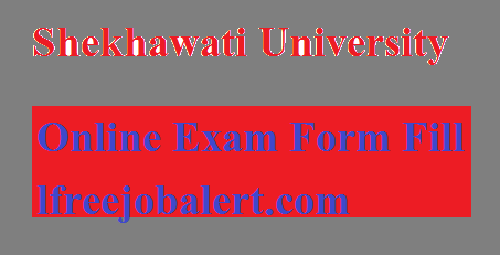 Shekhawati University ba 2nd year online exam form 2021