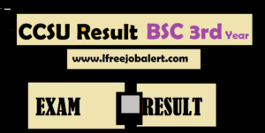 CCSU BSC 2nd Year Result