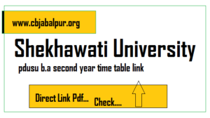 Shekhawati University BA 2nd Year Time Table