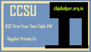 ccsuniversity bsc first year time table