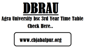 Agra University BSC 3rd Year Time Table