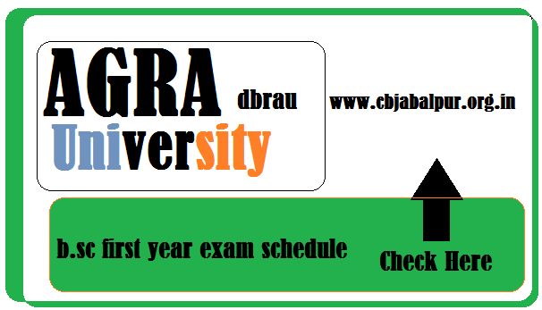 Agra University BSC First Year Time Table
